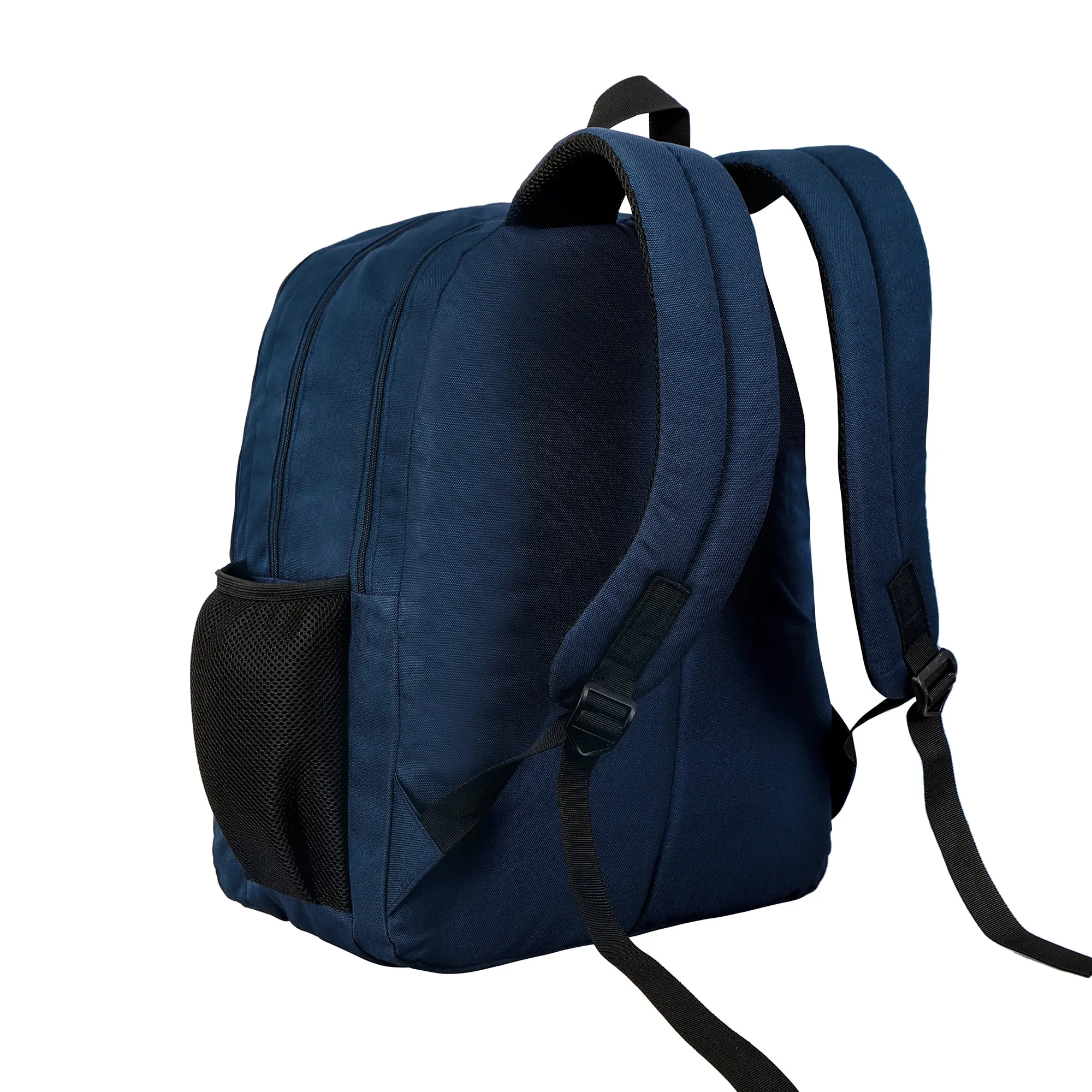 Kamron Series 3 Casual Backpack - 42 ltrs  (Blue)